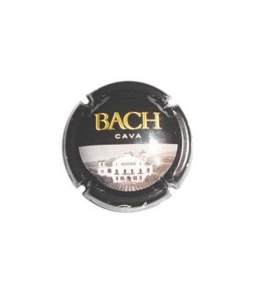 placa prueba anonima