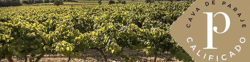 Caves amb denominació d'origen com a  "Cava de Paratge Qualificat".